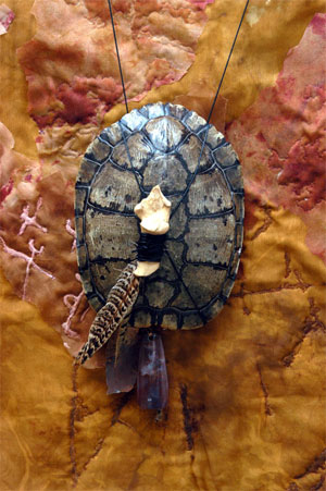 "Turtle Clan" 2004